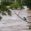 Praha - Flood 4.6.2013