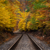 Autumn road