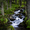 Stream in the Demanovska Dolina (Nizke Tatry)
