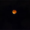 Lunar eclipse